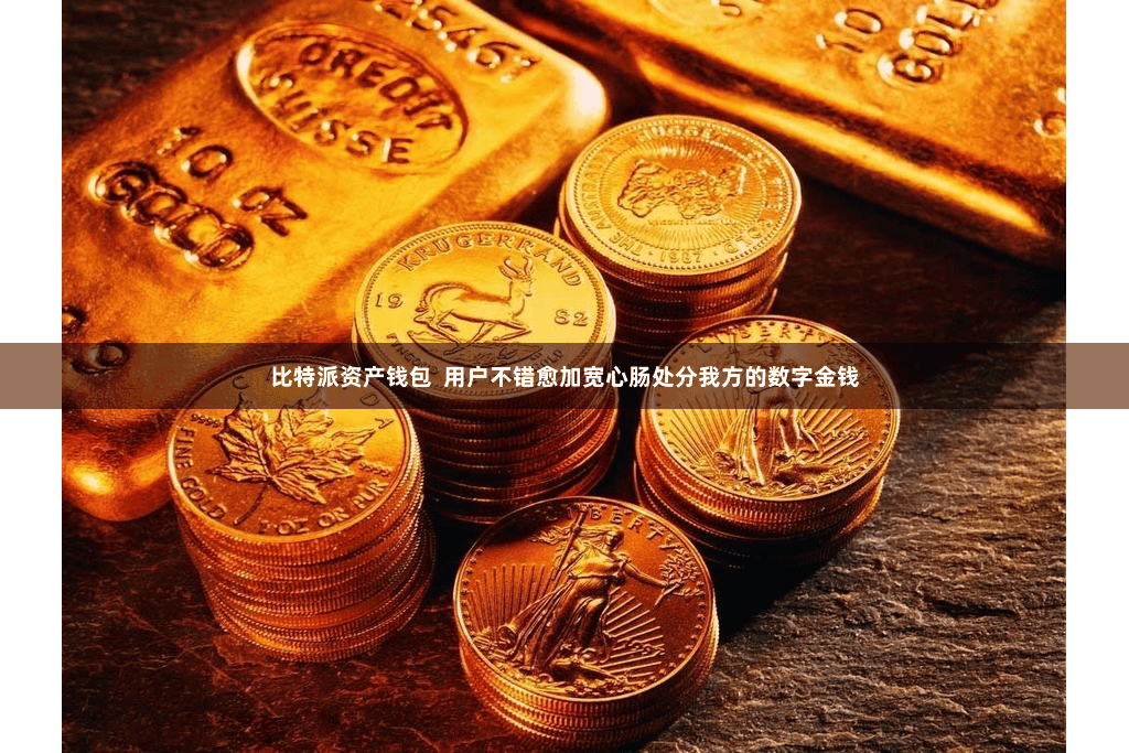 比特派资产钱包 用户不错愈加宽心肠处分我方的数字金钱