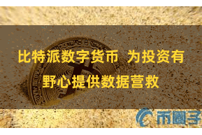 比特派数字货币  为投资有野心提供数据营救