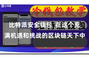 比特派安全钱包  在这个充满机遇和挑战的区块链天下中