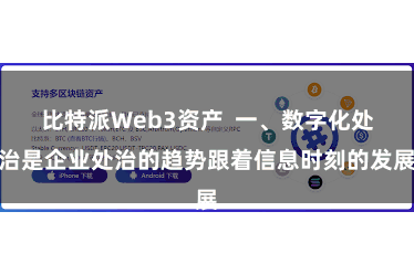 比特派Web3资产  一、数字化处治是企业处治的趋势跟着信息时刻的发展